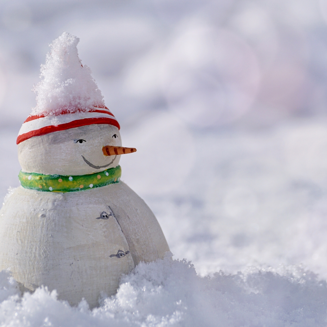 Anedota de boneco de neve. Versão com final infeliz. Anedota de boneco de neve. Versão com final infeliz.