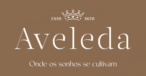 Catálogo de Natal de vinhos Aveleda. Preparados para 2024? Catálogo de Natal de vinhos Aveleda. Preparados para 2024?