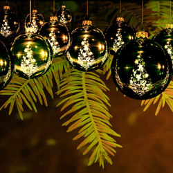 Decorações de Natal, árvore, presépio, luzes