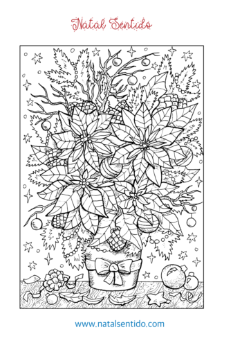 Flor de Natal ou Poinsetia em vaso.