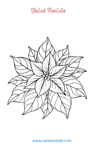 Flor de Natal para colorir.