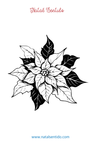 Flor de Natal