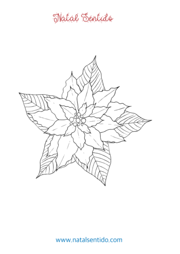 Flor de Natal