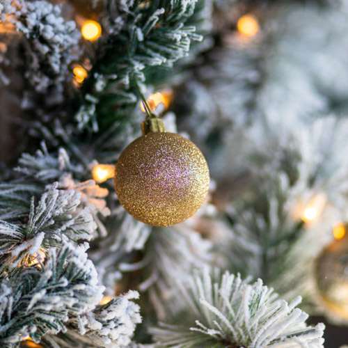 As Luzes de Natal, uma  história de Natal de Michael Hogan