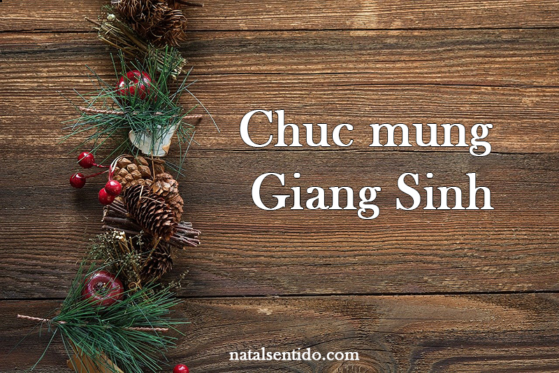 Feliz Natal em Vietnamita
