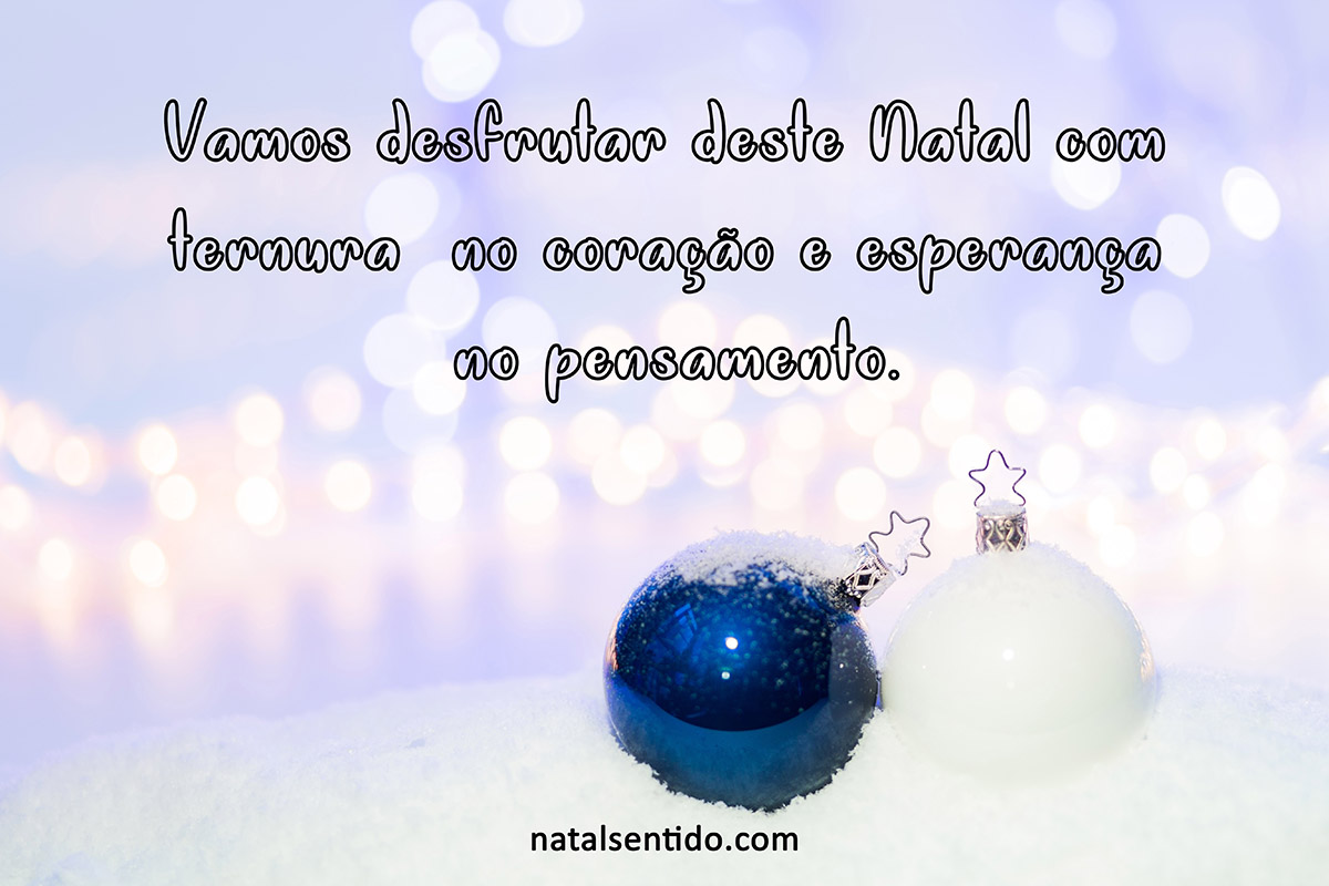 Vamos desfrutar deste Natal Vamos desfrutar deste Natal