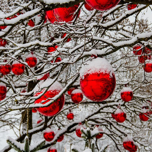 Christmas In April (música e letra) Christmas In April (música e letra)