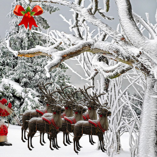 O Pai Natal Apressado (música e letra) O Pai Natal Apressado (música e letra)