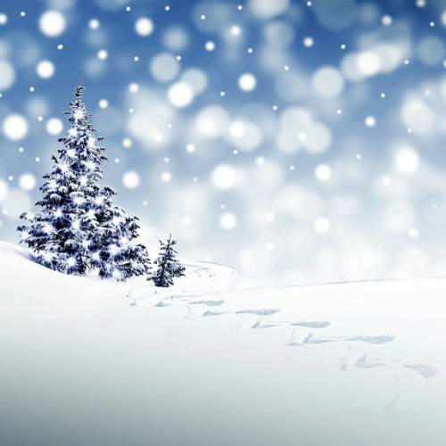 Dicas para um Natal Sem Stress