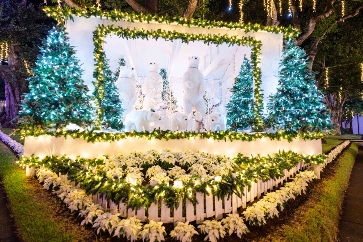 Natal em Santa Cruz