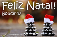 Postal de Feliz Natal para Boucinha 🎄 (cinco postais com nome)