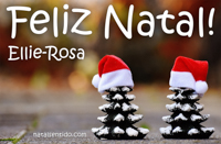 Postal de Feliz Natal para Ellie-Rosa 🎄 (cinco postais com nome)
