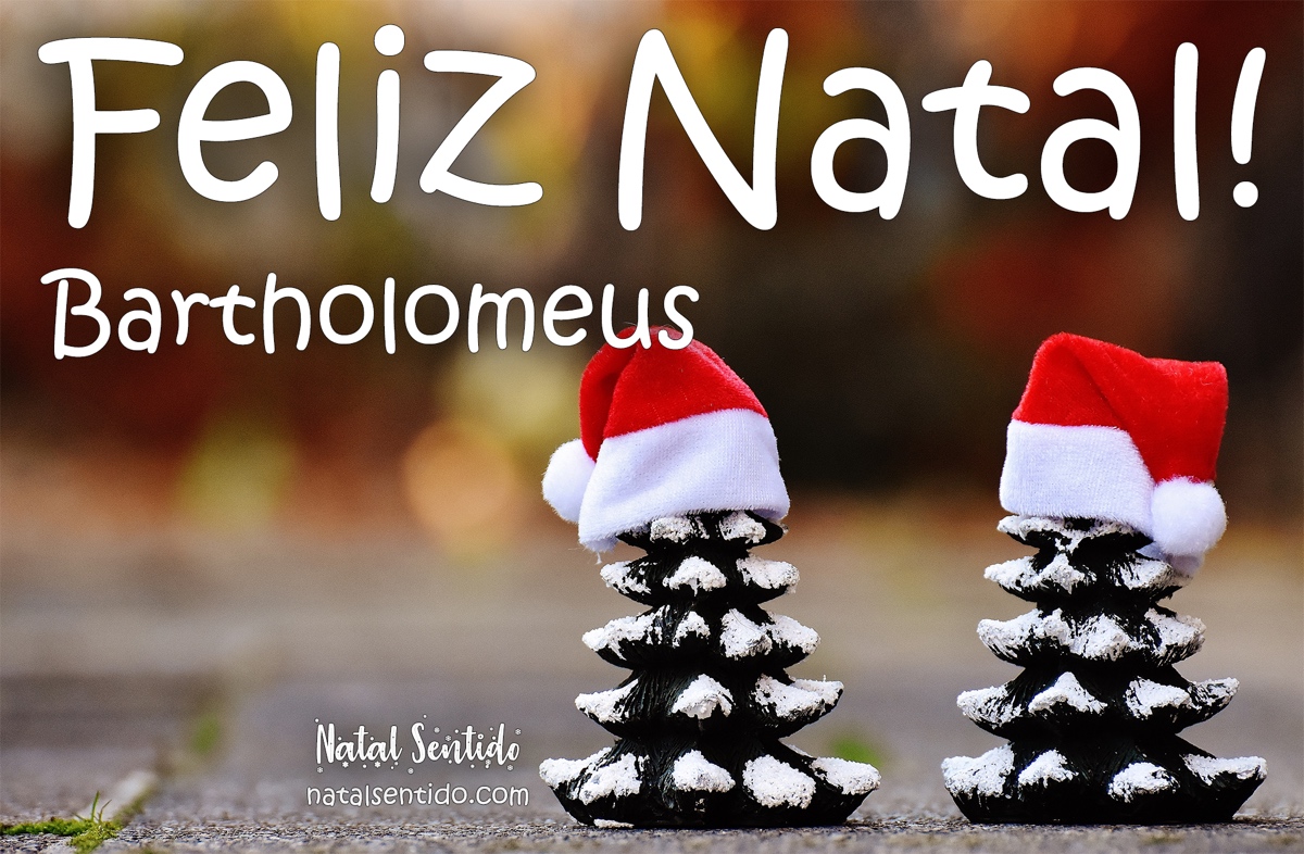 Postal de Feliz Natal com nome Bartholomeus Postal de Feliz Natal com nome Bartholomeus