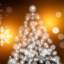 Símbolos de Natal? Árvores, azevinho, bolo rei, presépio...